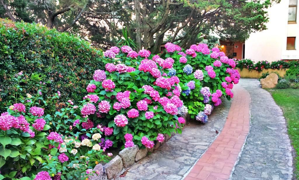 Hotel Valdiola Porto Cervo Ngoại thất bức ảnh